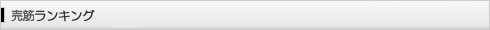 売筋ランキング